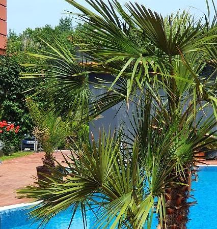 Apartament Cacao Residence Slantchev Briag Extérieur photo